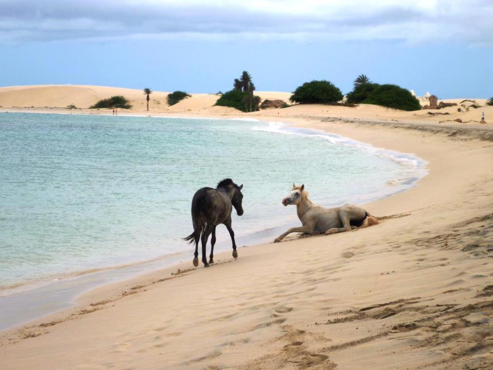 Vilas Praia De Chaves - Sol Y Mar Standart Rabil Exterior photo